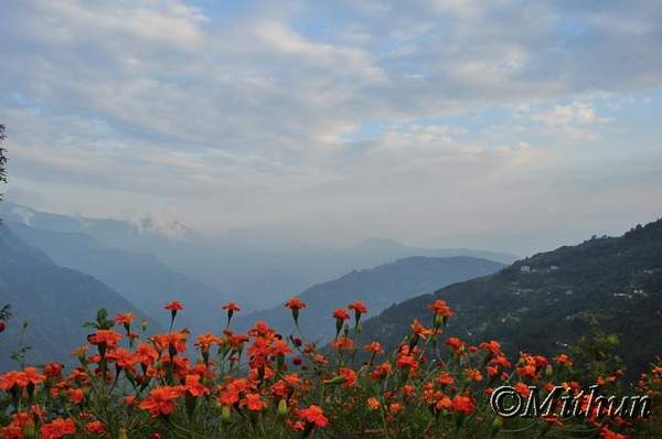 Name:  sikkim-day10-050.jpg
Views: 491
Size:  22.7 KB