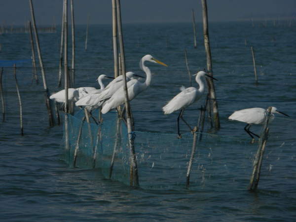 DSCN1435.jpg