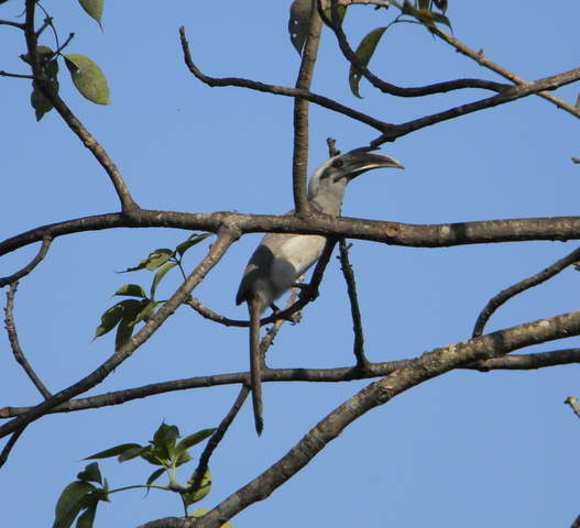 DSCN1541.jpg