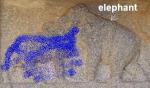hampi-everything-you-want-to-know-elephant.jpg