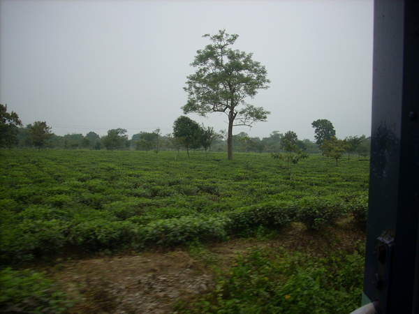 DSCN3917.jpg