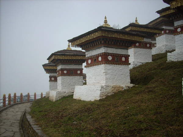 DSCN4081.jpg