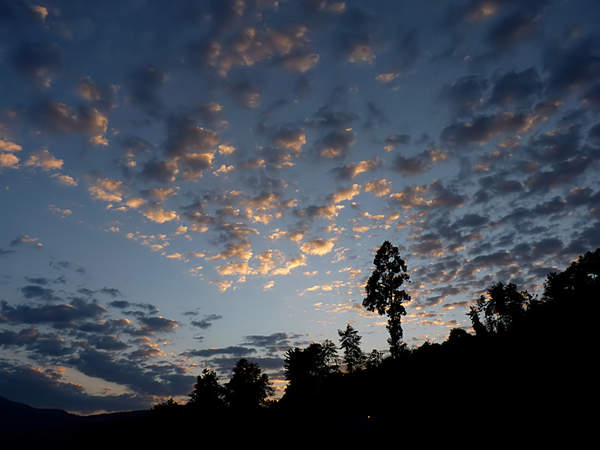 P1020251.fs.jpg