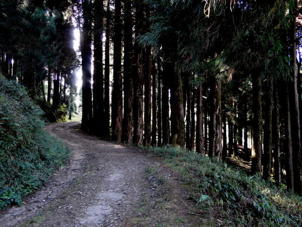 DSC00985.jpg