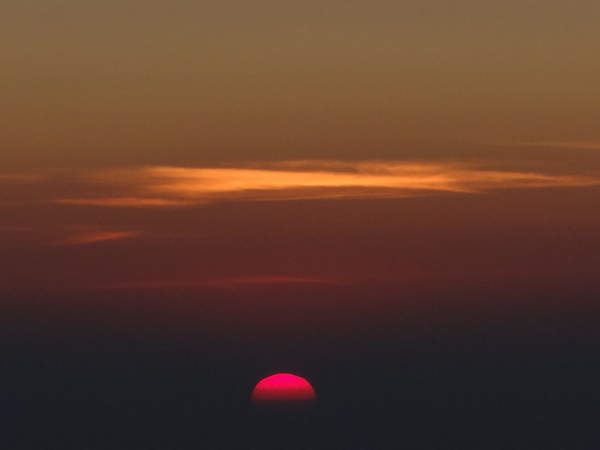 DSC01035.jpg