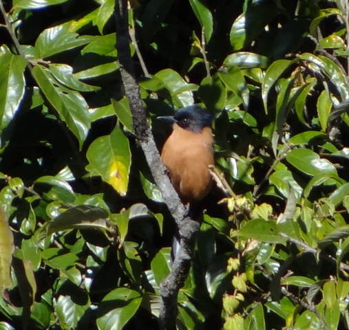 DSC00918.jpg
