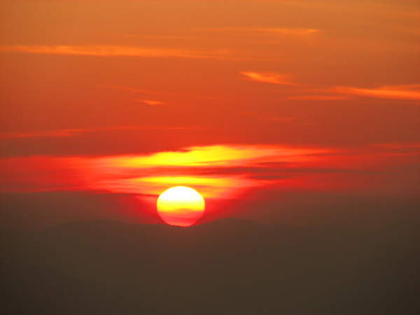 IMG_5843.jpg