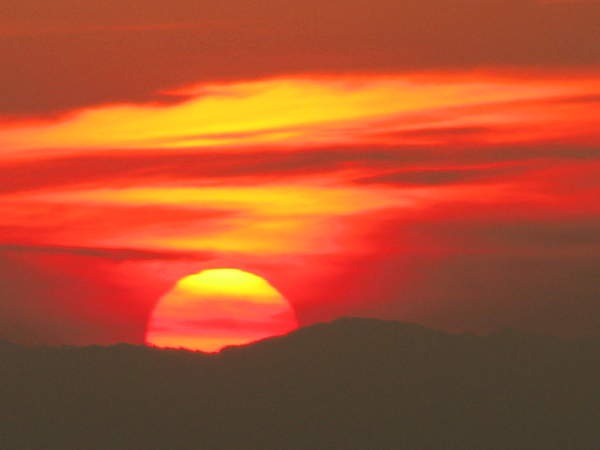 IMG_5847.jpg