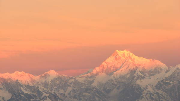 IMG_5884.jpg