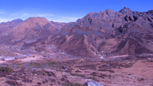 IMG_5968.jpg