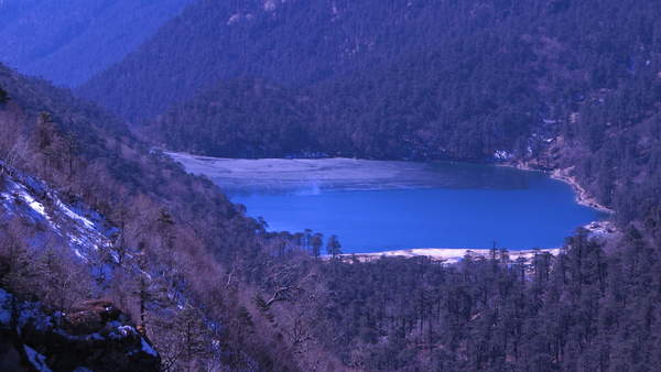 IMG_5994.jpg