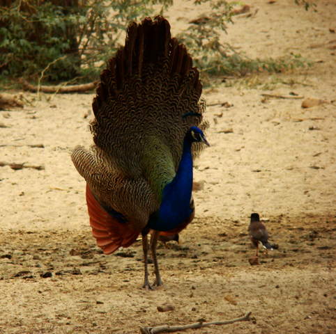 DSC01301.jpg