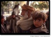 gypsies-in-kashmir-gypsy.jpg
