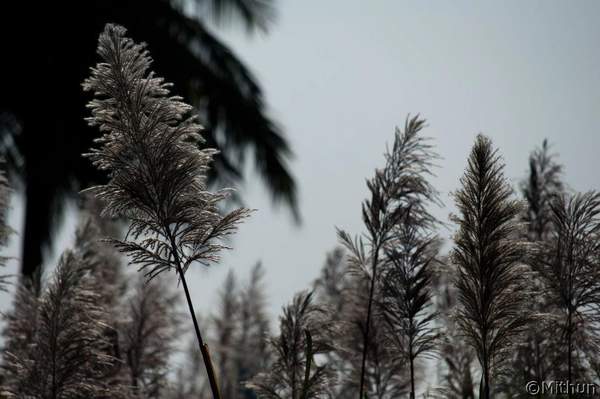 Name:  5.jpg
Views: 724
Size:  34.5 KB