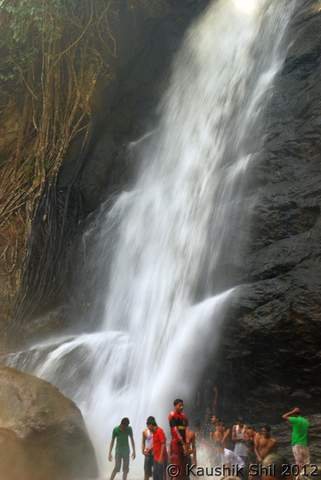 Name:  DSC_0323.jpg
Views: 1567
Size:  18.3 KB