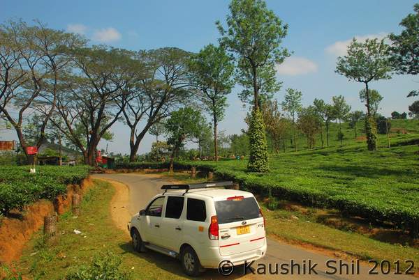 Name:  DSC_0330.jpg
Views: 1553
Size:  48.8 KB