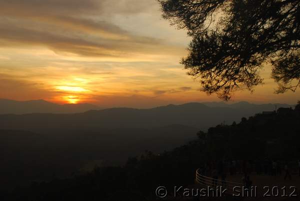Name:  DSC_0769.jpg
Views: 1396
Size:  21.8 KB