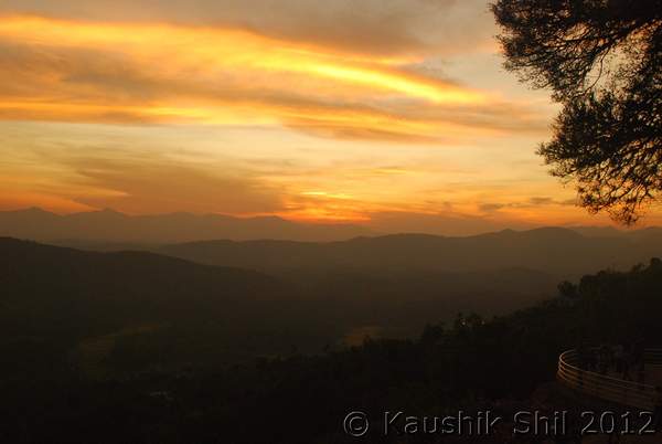 Name:  DSC_0791.jpg
Views: 1412
Size:  19.1 KB