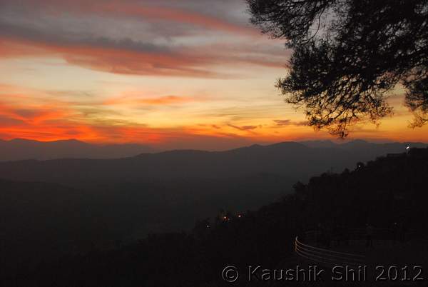 Name:  DSC_0806.jpg
Views: 1373
Size:  19.5 KB