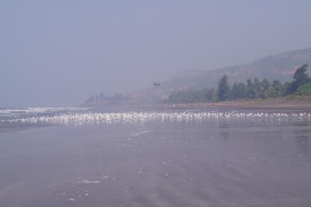 tDSC01769.JPG
