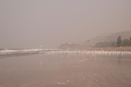 tDSC01773.JPG