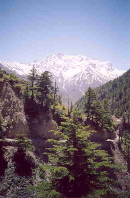 niti3.jpg