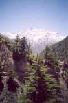 niti-mana-and-darma-valley-photos-and-info-niti3.jpg