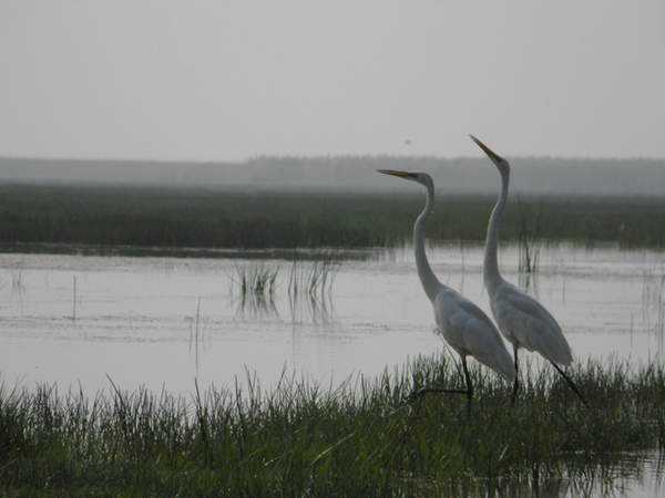 DSCN4222-1.jpg