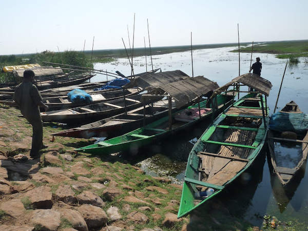 Mangalajodi - boats for birding trips.jpg