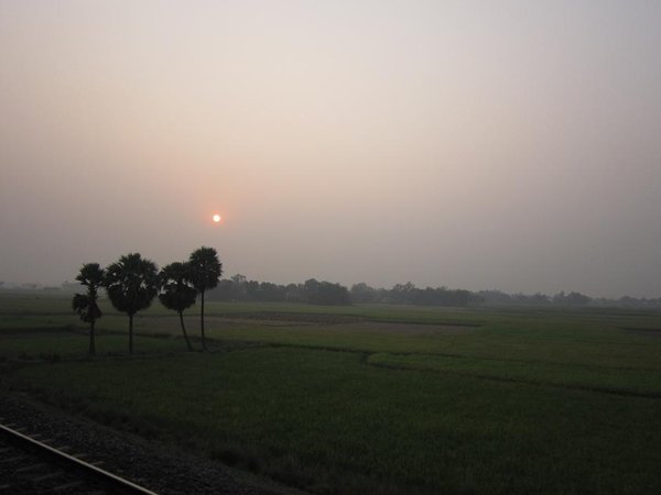 IMG_0986r.jpg