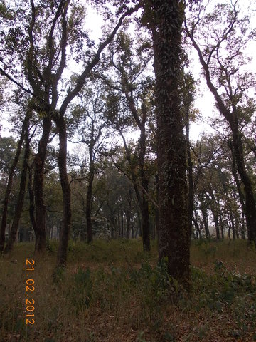 DSCN0059.jpg