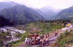 manali-to-dharamsala-silver-oaks-palampur.jpg