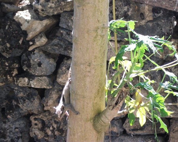 DSCF1321.jpg