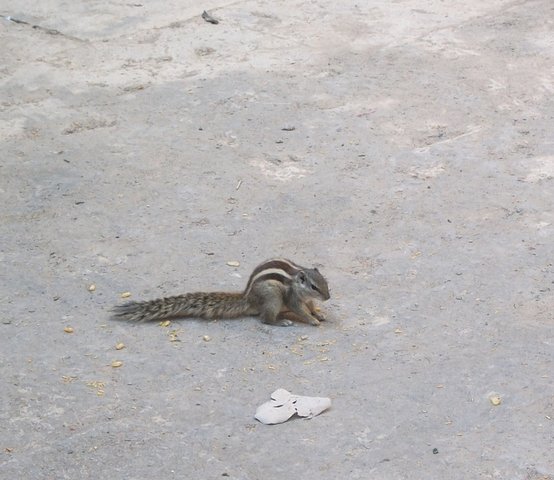 DSCF1594.jpg