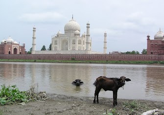 P1010026-1.JPG
