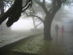 hills-near-vadodra-walking_into_a_cloud.jpg