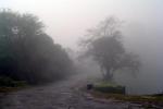 run-the-backpackers-are-coming-coorg.jpg