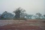 appeal-for-action-on-keoladeo-ghana-national-park-bharatpur-b03.jpg