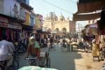 appeal-for-action-on-keoladeo-ghana-national-park-bharatpur-b04.jpg