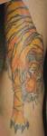 piercings-and-tatoos-tiger-tat-web.jpg