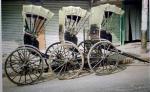 calcutta-to-ban-hand-pulled-rickshaws-calcutta-hanpulled.jpg