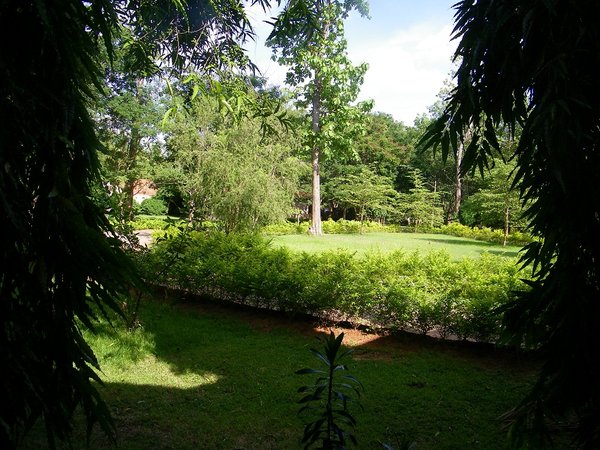 dandeli4.jpg