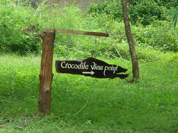dandeli1.jpg