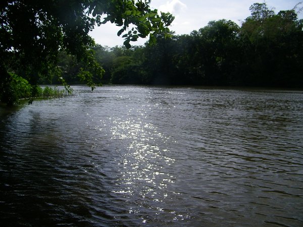dandeli river3.jpg