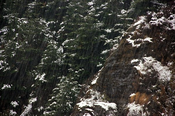 Sikkim sandakphu Tour 275.jpg