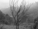 first-long-bike-drive-kasauli.jpg