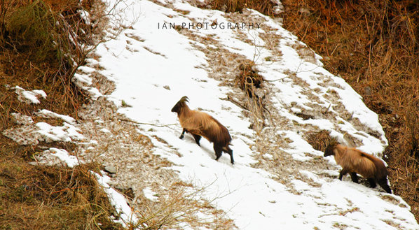 Name:  IMG_1902.jpg
Views: 665
Size:  99.9 KB