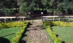 joseph-iype-s-cottage-in-munnar-john-s-homestay.jpg