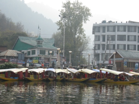 IMG_0015.jpg