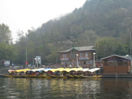 IMG_0016.jpg